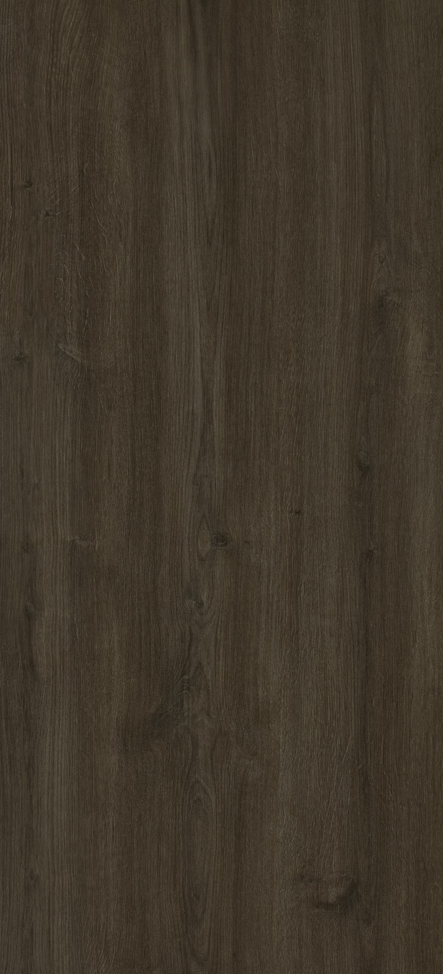 Dąb Carpenter Coffe PD3100