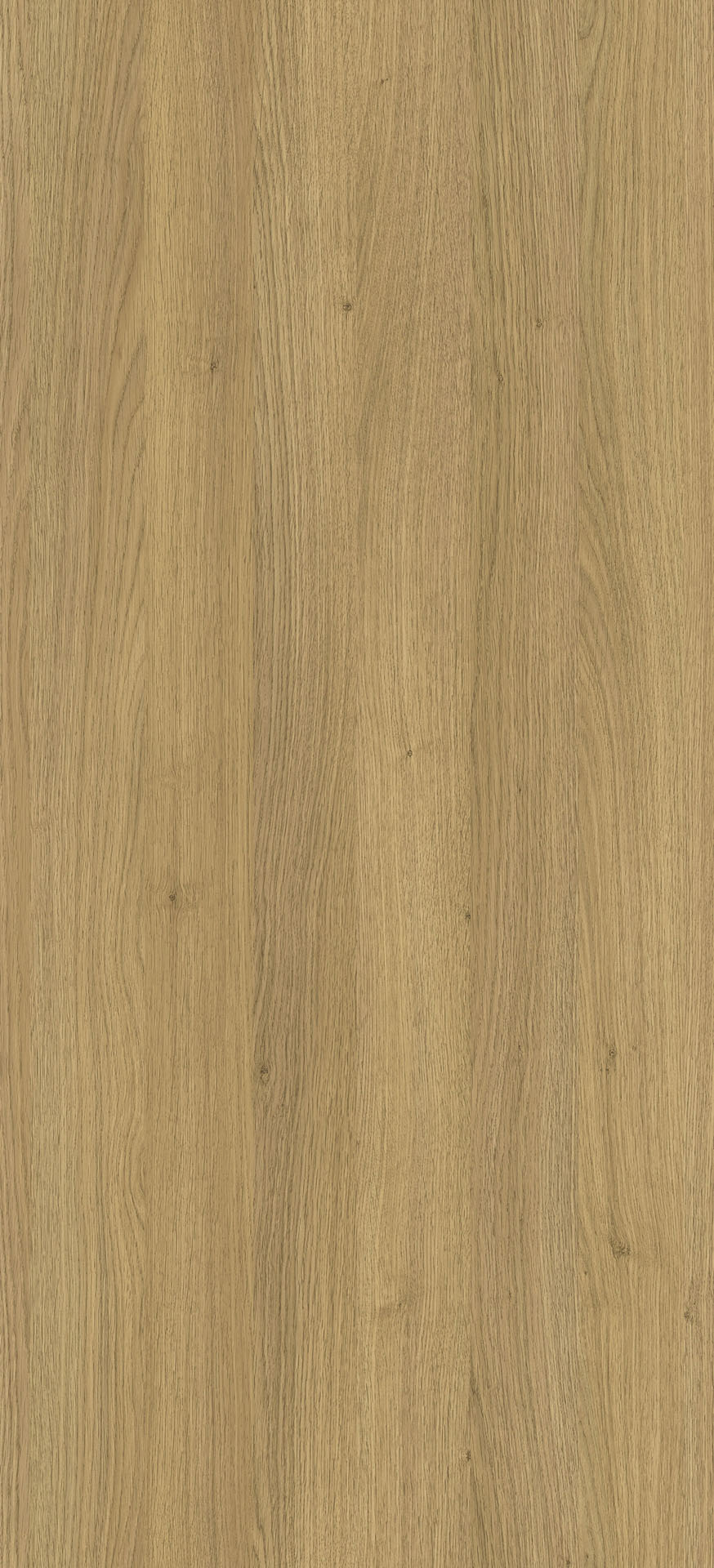 Dąb Natura PD3084