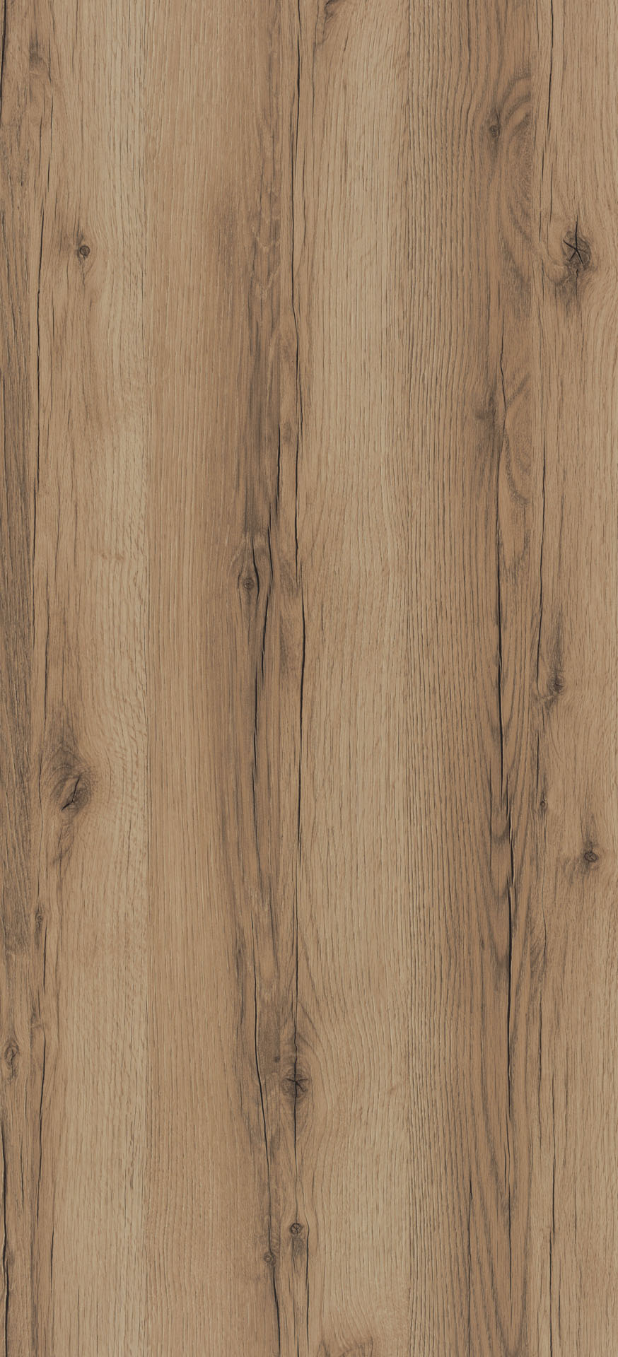 Dąb Grand Naturalny PD3051