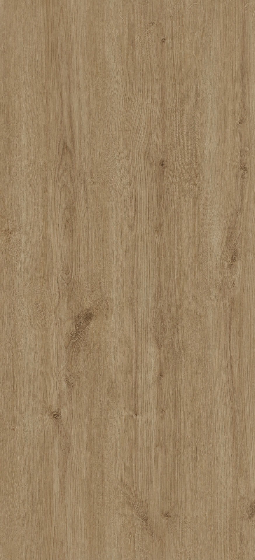 Dąb Carpenter jasny PD3121